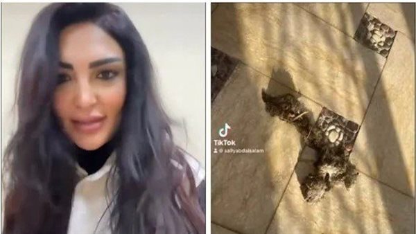 موقع أيام نيوز