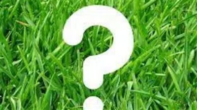 من هو النبى الذى حبس فى بئر مع أسدين لعدة أيام ولم يأكلاه ؟