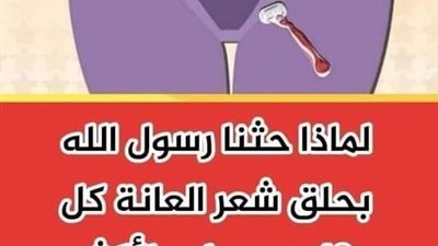  لماذا حثنا رسول الله بحلق شعر العانة كل 40 يوم على الأكثر مفاجأة يكشفها العلم الحديث 