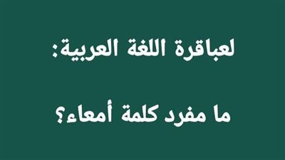 ما مفرد كلمة «أمعاء» في اللغة العربية؟.. وُردت في حديث شريف
