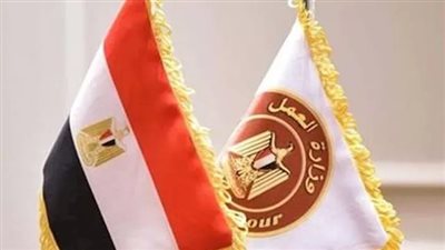 سكن وتأمين وهاتف وسيارة.. فرص عمل بالسعودية للشباب المصري